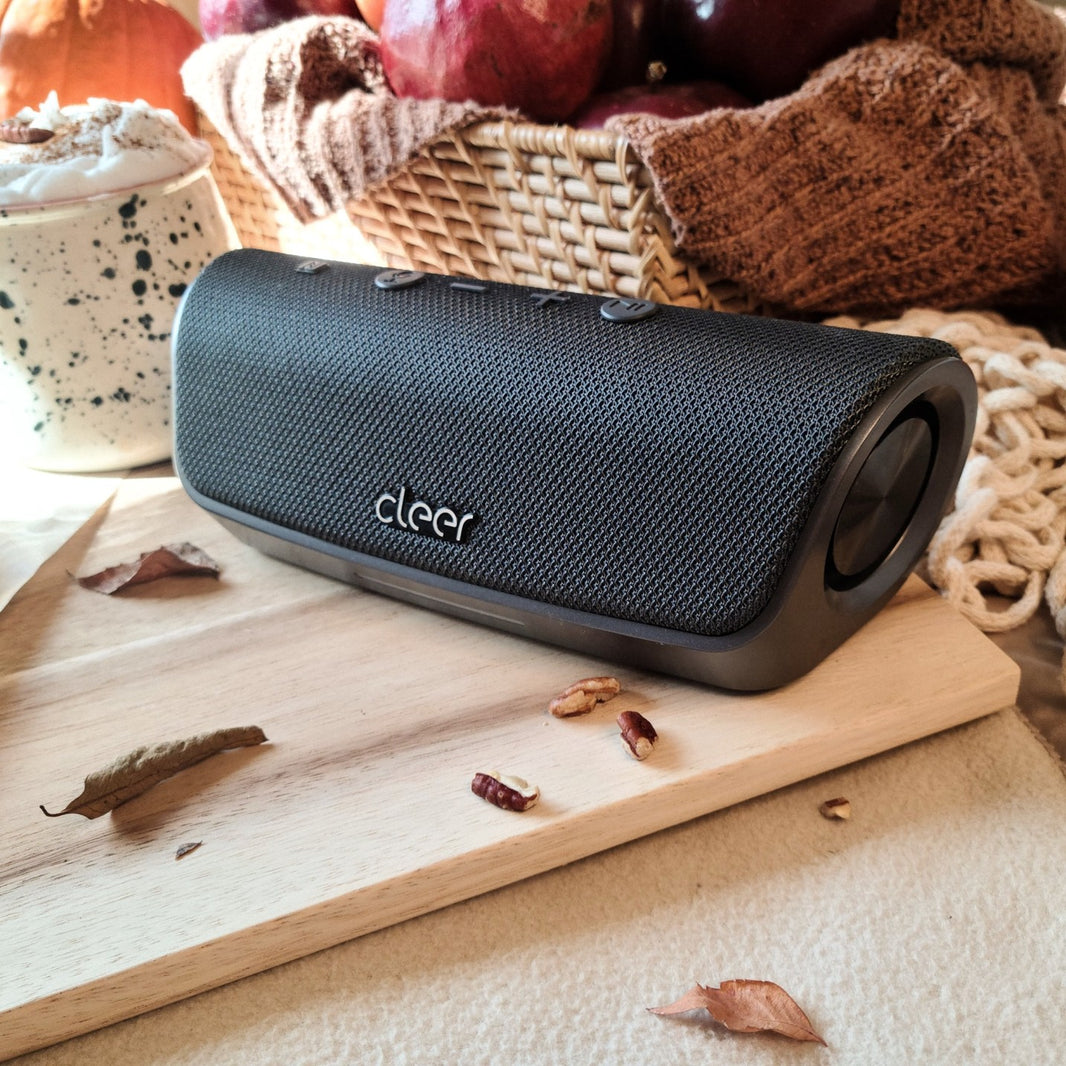 stage alexa enabled speaker (1)